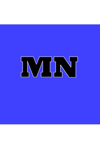 Minn Blue Blogs