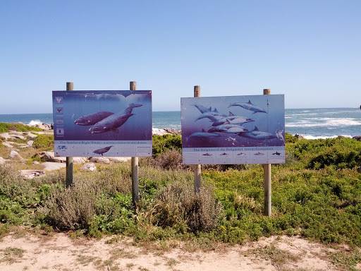 Postberg Whale Watching Sign