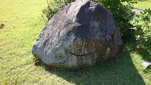 Face Stone