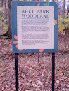 Woodland 