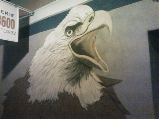 Eagles Mural 