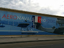Aéronavale 1910-2010