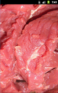How to get FLEISCH! 1.0 apk for android