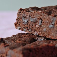 Chocolate cocoa nib shortbread