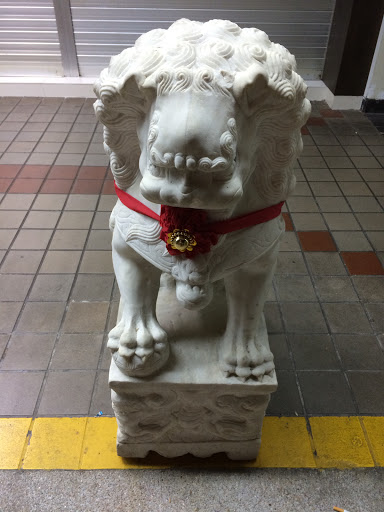 Bashful Lion Statue