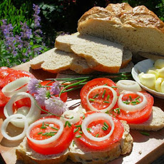 Fresh Tomato Sandwiches Saturday Lunch  on Longmeadow Farm