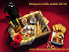 Desayunos Y Brindis Pueblo Del Sol 42535226