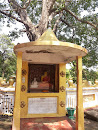 Buddha Statue And Bo Tree