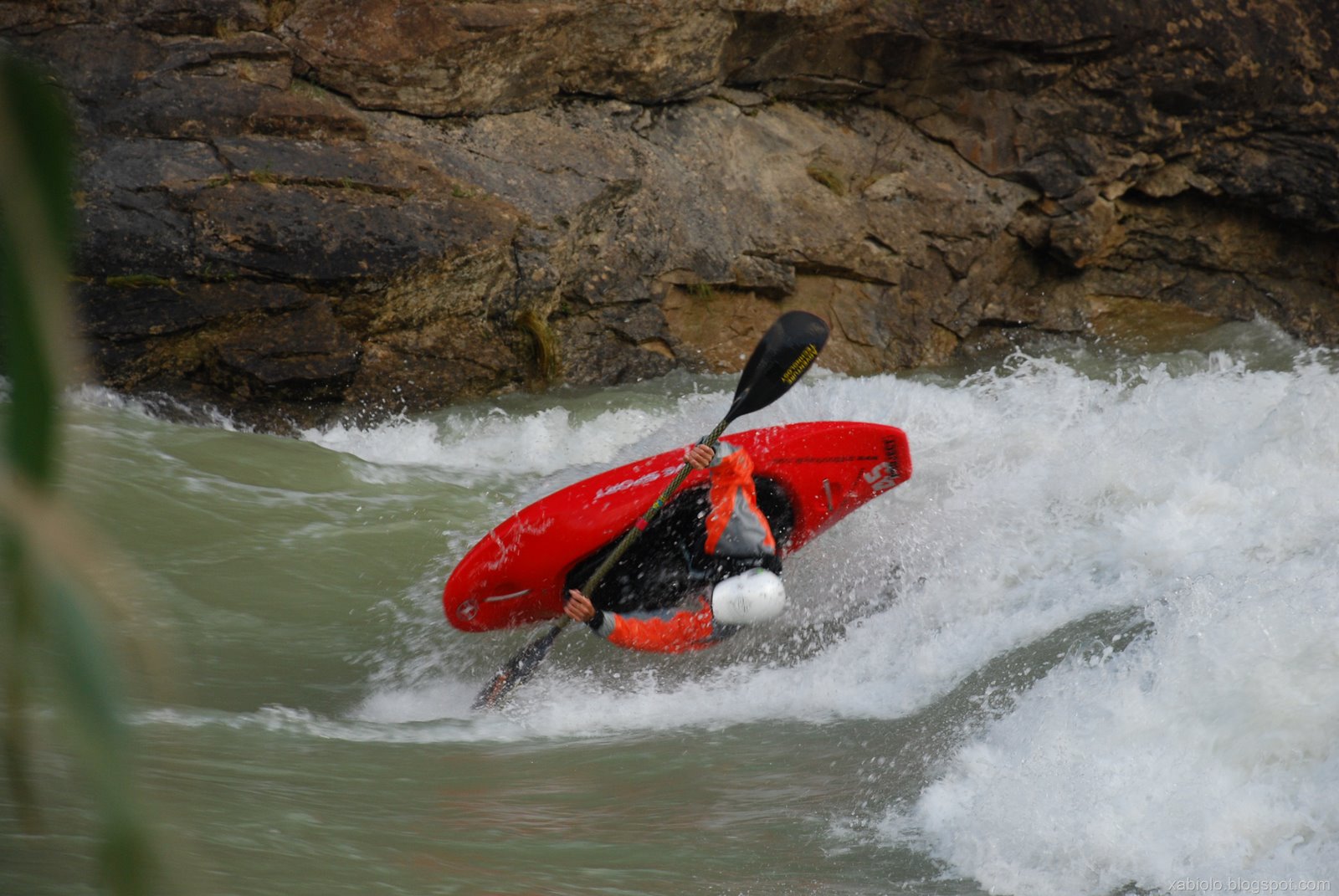 [DSC_0291[12].jpg]