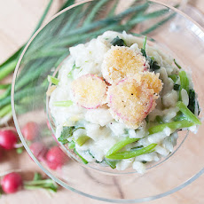 Spring Risotto with Pan-Fried Radishes