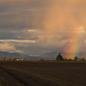 by Kirsten Morse - Landscapes Prairies, Meadows & Fields