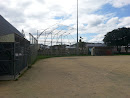 Miramar Softball Club Batters Cage