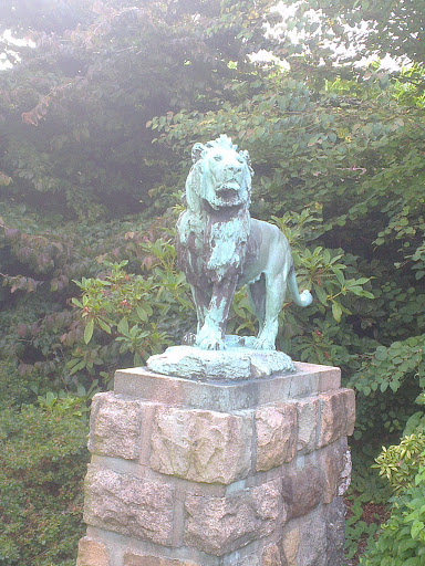 Lion De Bronze