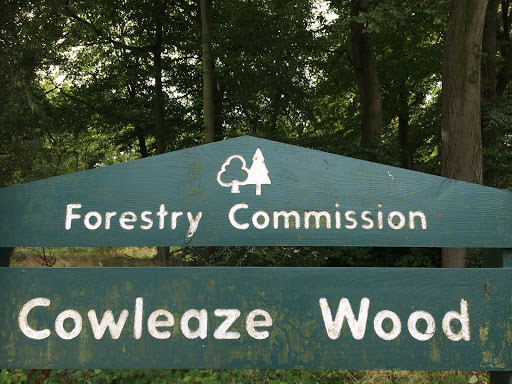 Cowleaze Wood