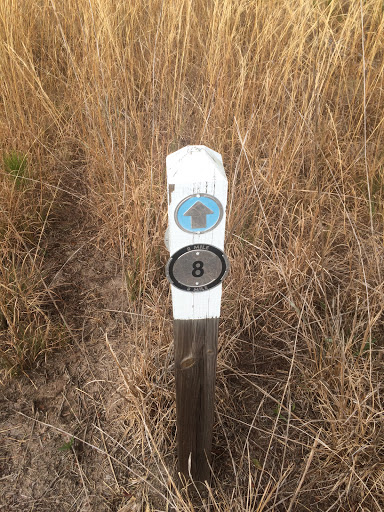 Mile Marker 8 Longleaf Pine Preserve Blue Trail