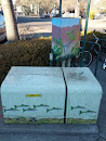 Painted Utility Boxes