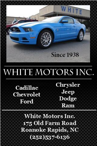 White Motors Inc