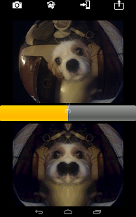 How to download Symmetrical Selfie patch 2 apk for laptop