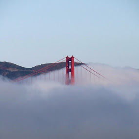 by Jeff Steiner - Buildings & Architecture Bridges & Suspended Structures