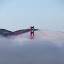 by Jeff Steiner - Buildings & Architecture Bridges & Suspended Structures