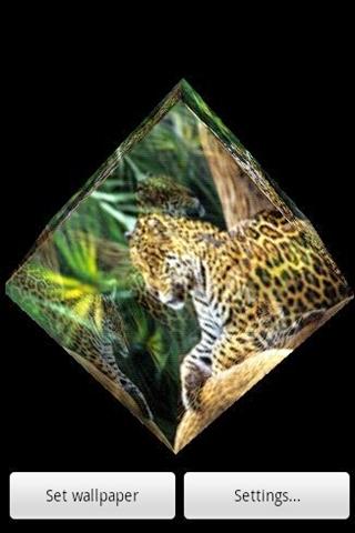 3D Leopard 31