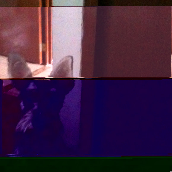 Spotting Image 1
