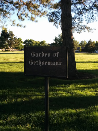 Southern Garden Of Gethsemane