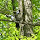 Birds in New Jersey