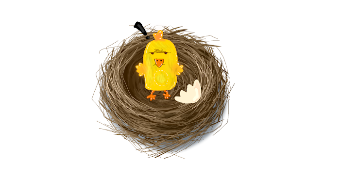 9. What is in the Nest?