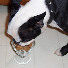 Easy Dog Biscuits