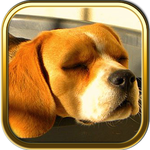 Free Beagle Puzzle Games.apk 3.1.6
