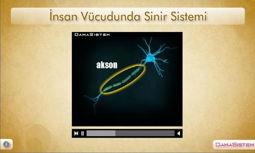 How to mod İnsan Vücudunda Sinir Sistemi lastet apk for pc