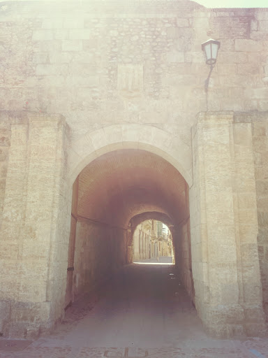 Puerta de entrada Ciudad Rodrigo La Vieja