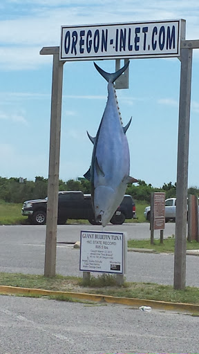 NC State Record Giant Bluefin Tuna