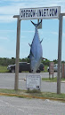 NC State Record Giant Bluefin Tuna