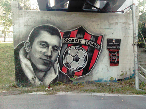 Spartak Trnava Graffiti