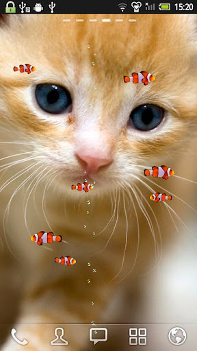 KITTY FISH LIVE WALLPAPER 1