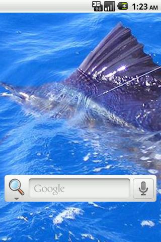 Salt Fishing Live Wallpaper