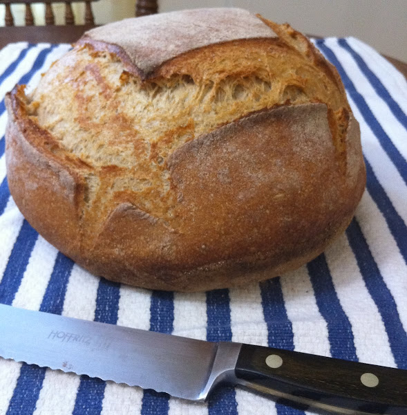 Sourdough bread Yeast Project Noah
