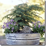 cool season containers