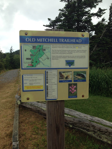 Old Mitchell Trailhead