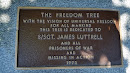 The Freedom Tree