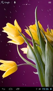 How to download Drops on tulips patch 0.7 apk for laptop