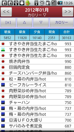 実践 RECダイエットDXⅡlite