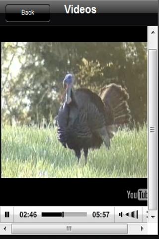 Turkey Hunting