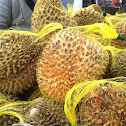 Durian Fruit