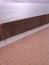 Sea Wall Art