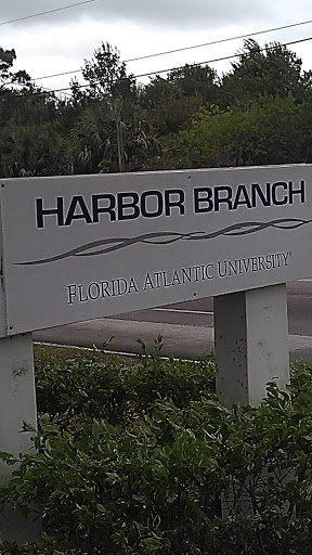 Harbor Branch  Oceanic Sciences at FAU