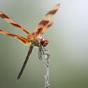 Halloween Pennant