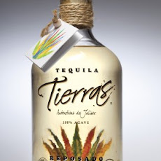 Tarragon Margarita Recipe